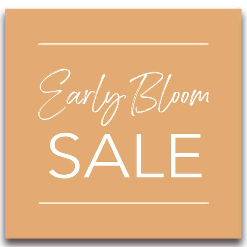 Early Bloom Fitted Wardrobe Sale